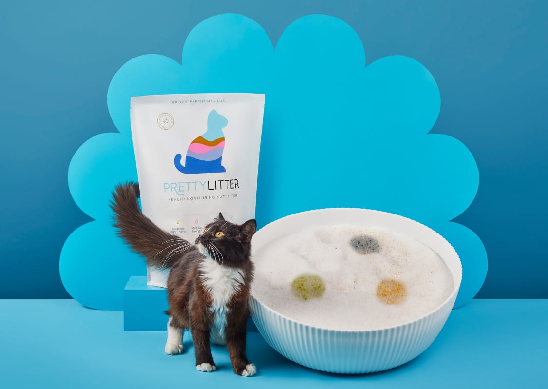 PrettyLitter, cat, and bowl of litter with colored spots