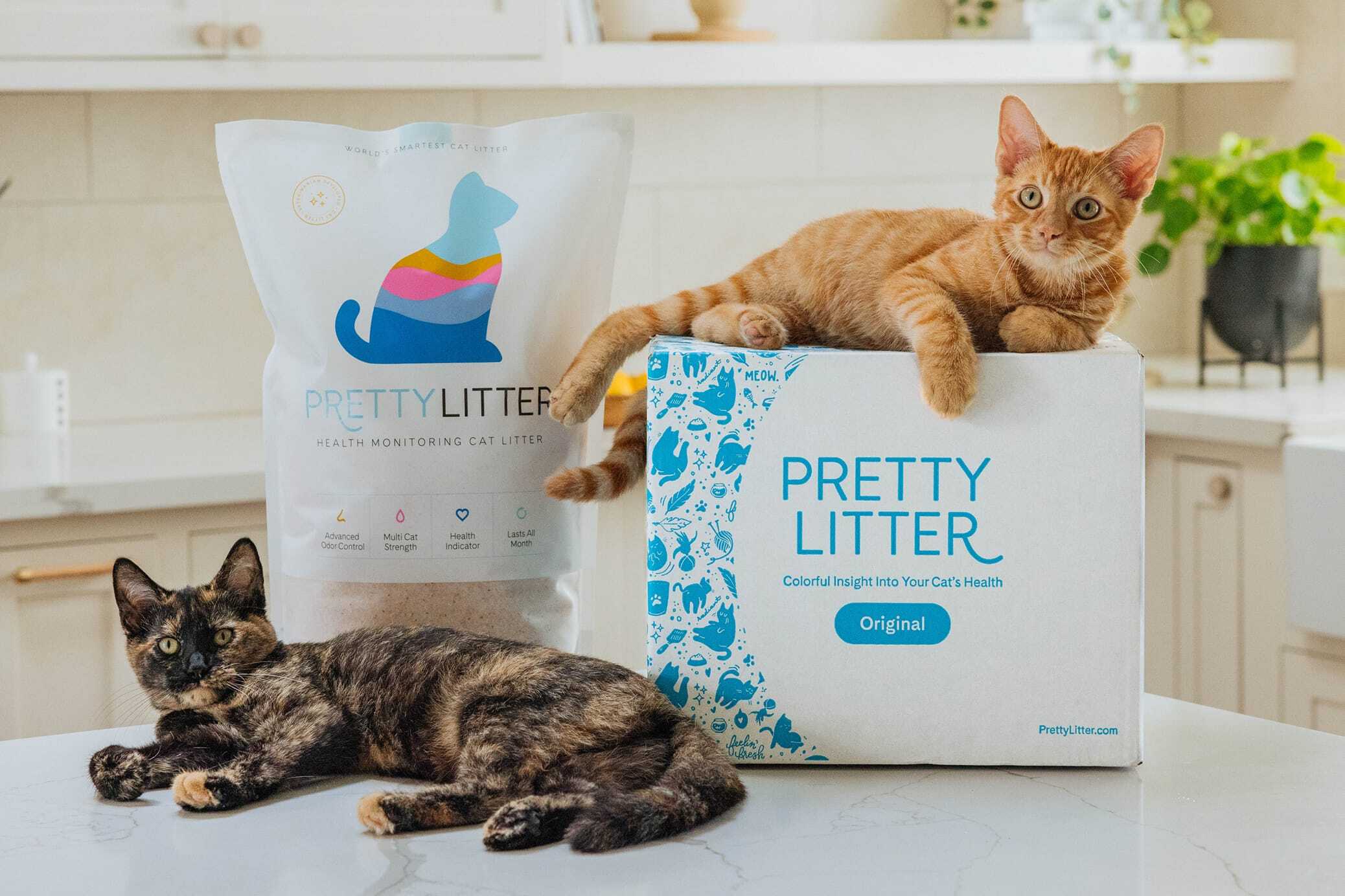 In The News - PrettyLitter