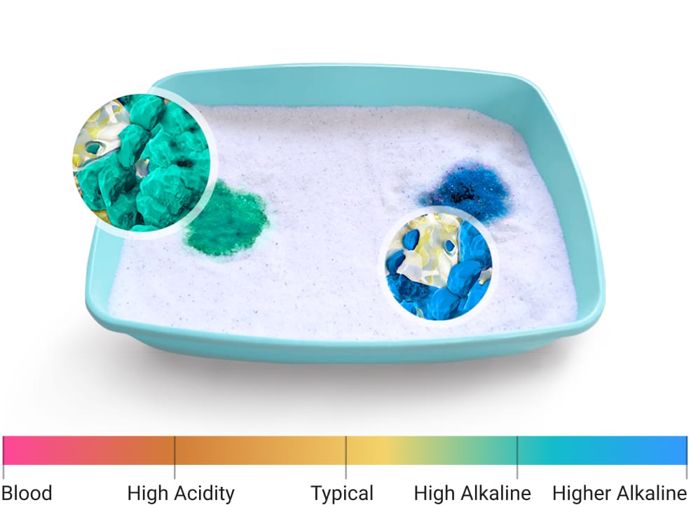 Litter box with colored spots indicating various pH levels.