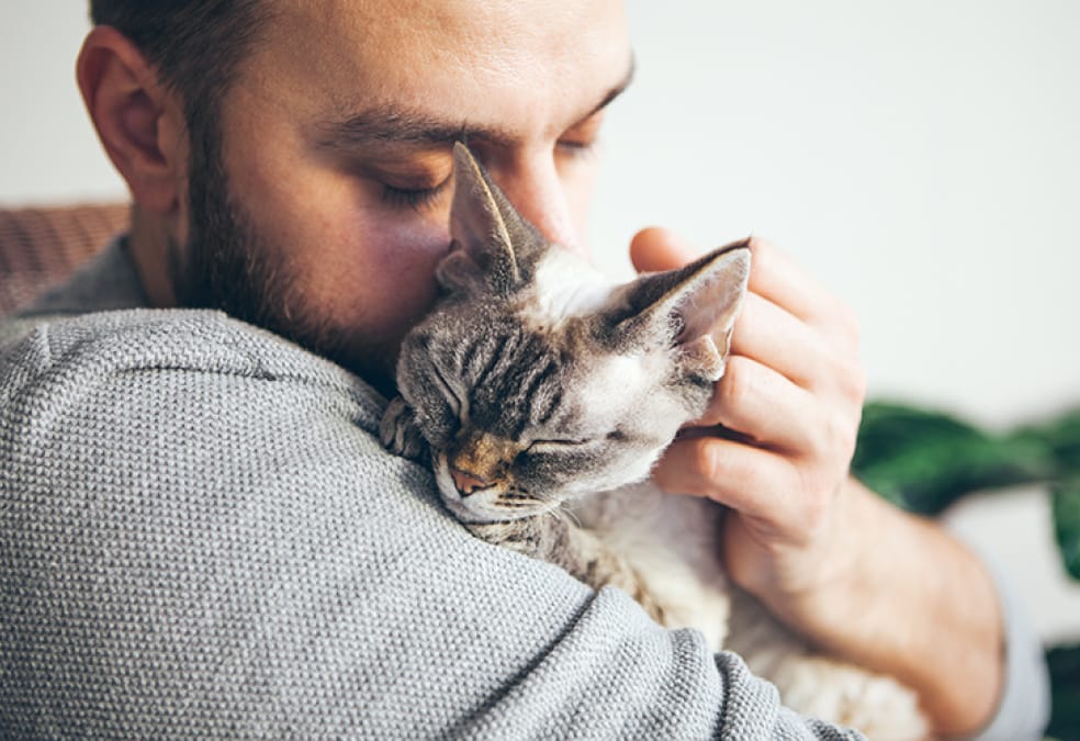 A man with a beard gently hugging a relaxed cat.