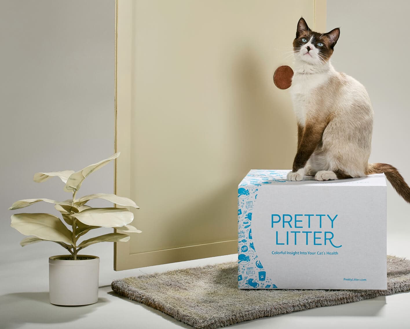 Cat litter next day delivery hotsell