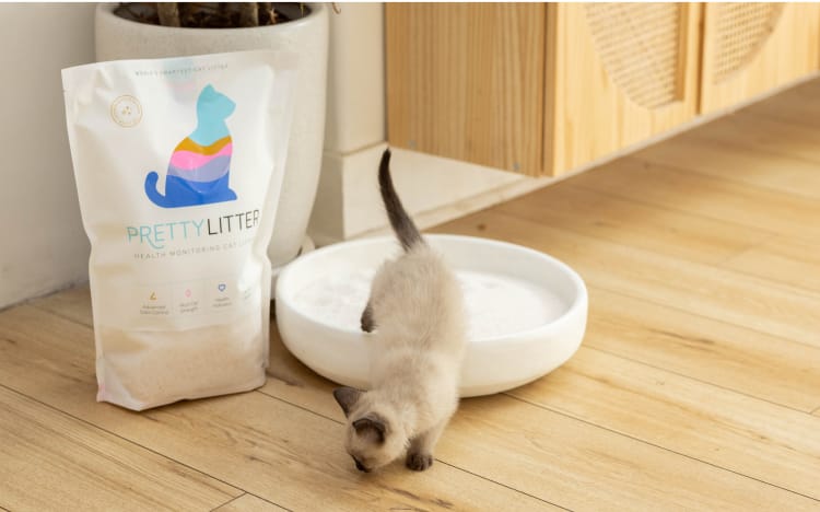 Cat leaving odor eliminating litter