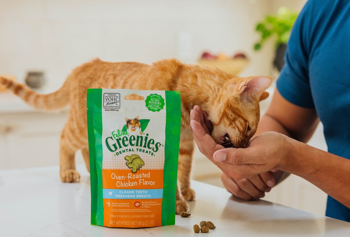 Cat enjoying Greenies treats
