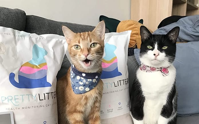 Photo shared by Lori W.