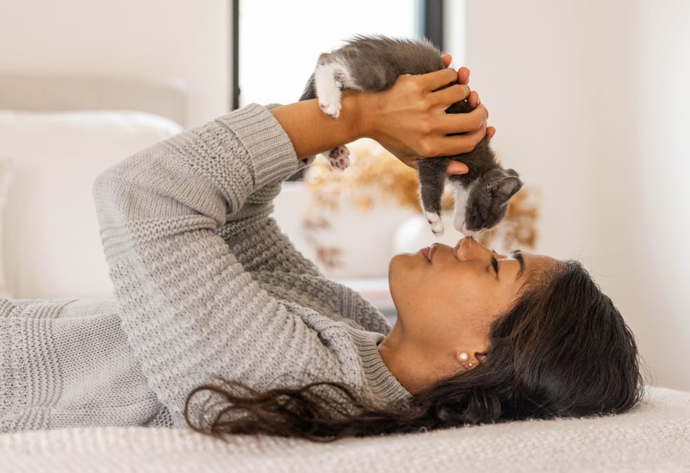 Person holding kitten to face