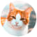 Cat profile image