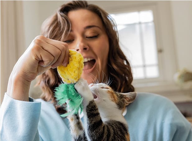 Monitor Your Cat's Health