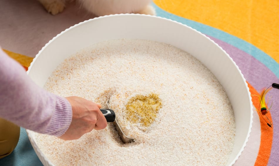 Advanced Odor Control