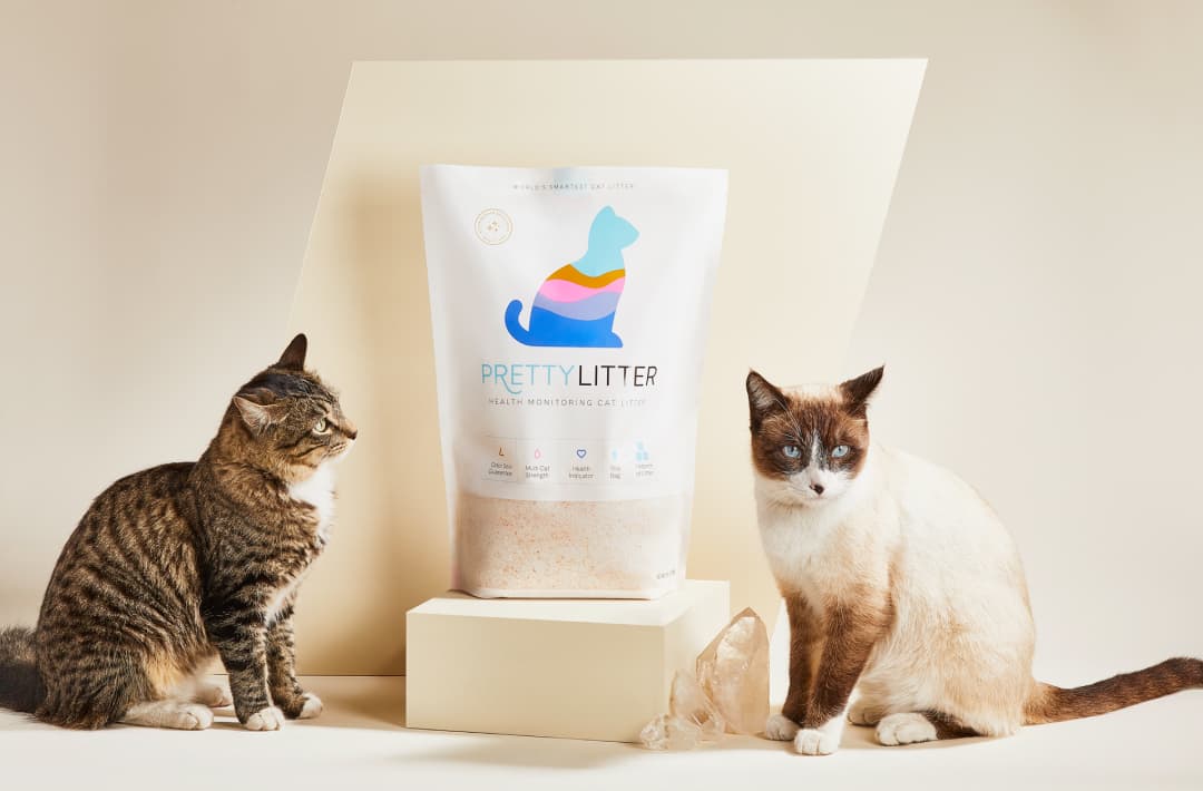 PrettyLitter bag and two cats