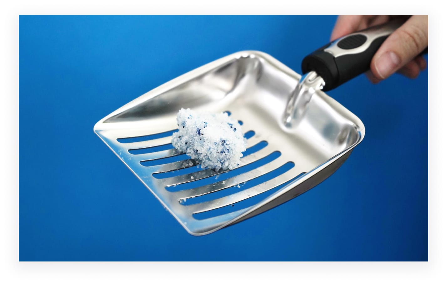 Cat litter clump on a scoop
