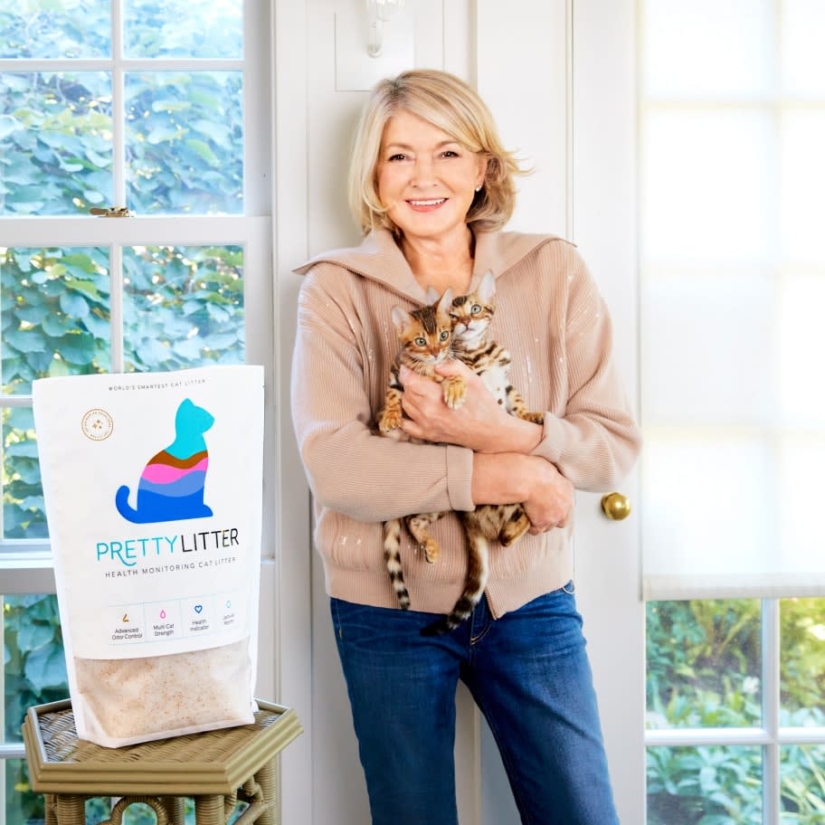 Martha Stewart with her persian cat