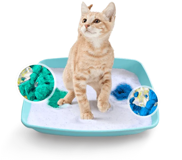 Litter box with color examples