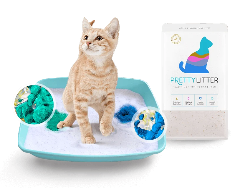 PrettyLitter Tells You What Your Cat Can’t!