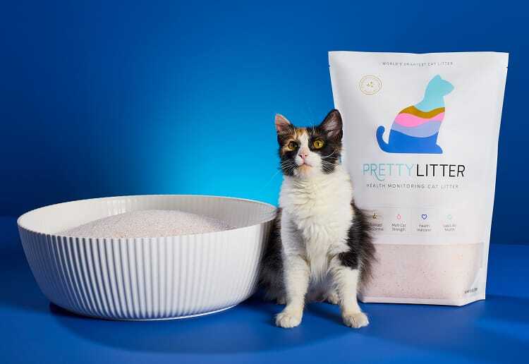 A cat with PrettyLitter and Litter Box