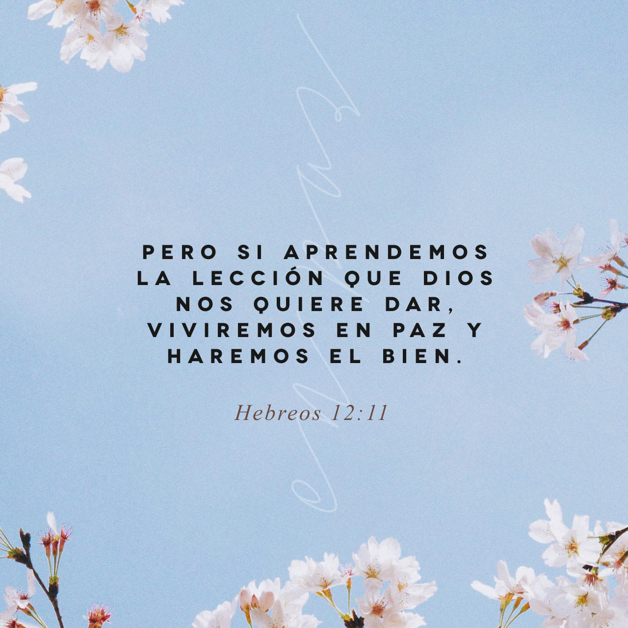 versiculo biblico Hebreos 12:11