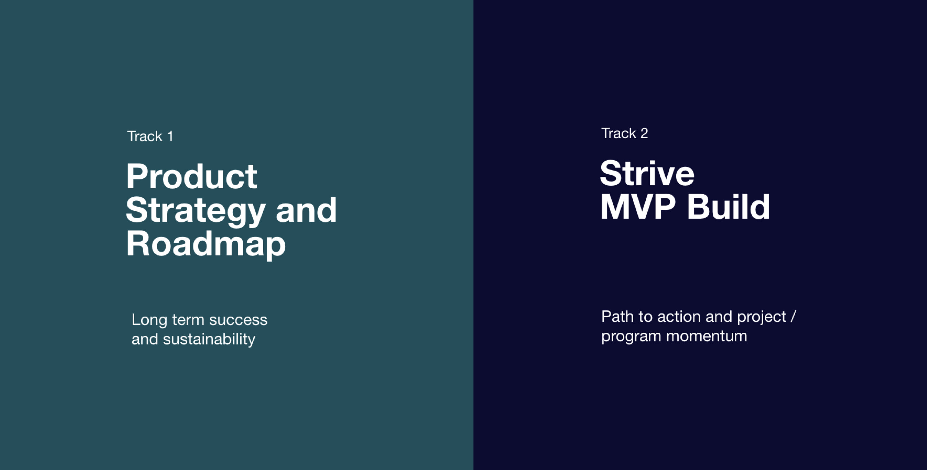 Page displaying text that visualises the split between track 1 and track 2 of the project approach