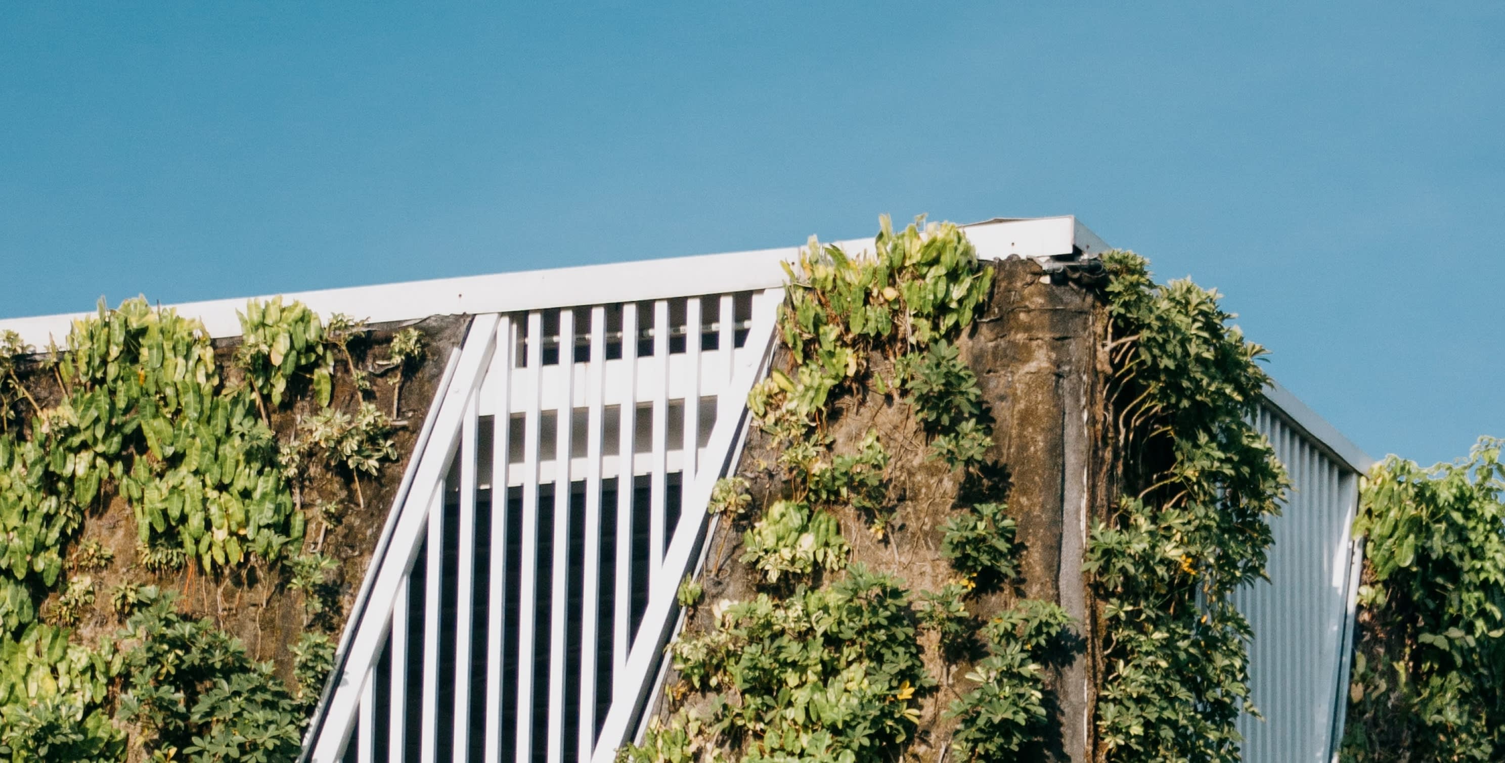 Building with interweaving plant growth