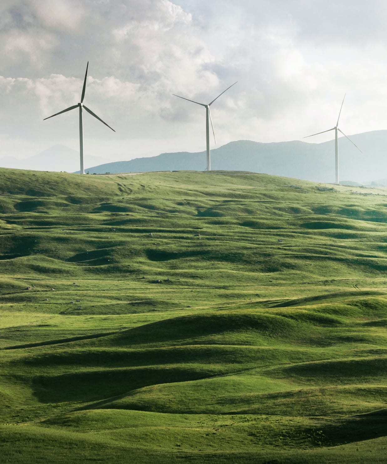 Wind turbines on green grassy hills