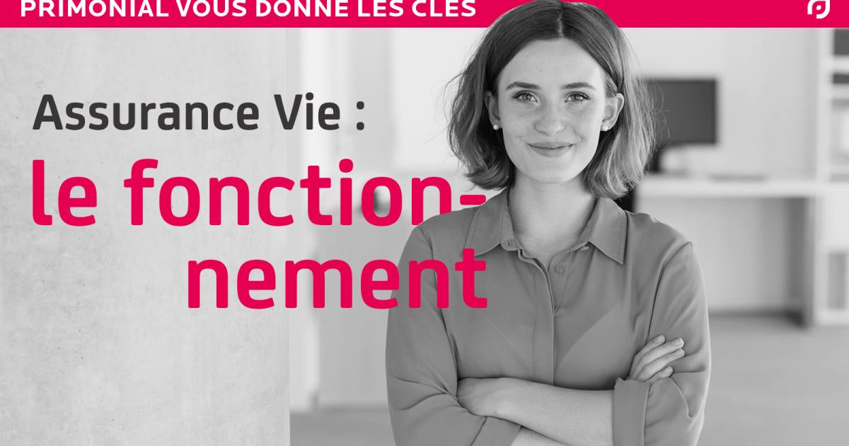 Comment fonctionnent les assurances vie | Primonial