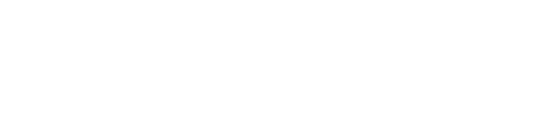 Punchlab