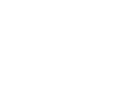 Lulav Space