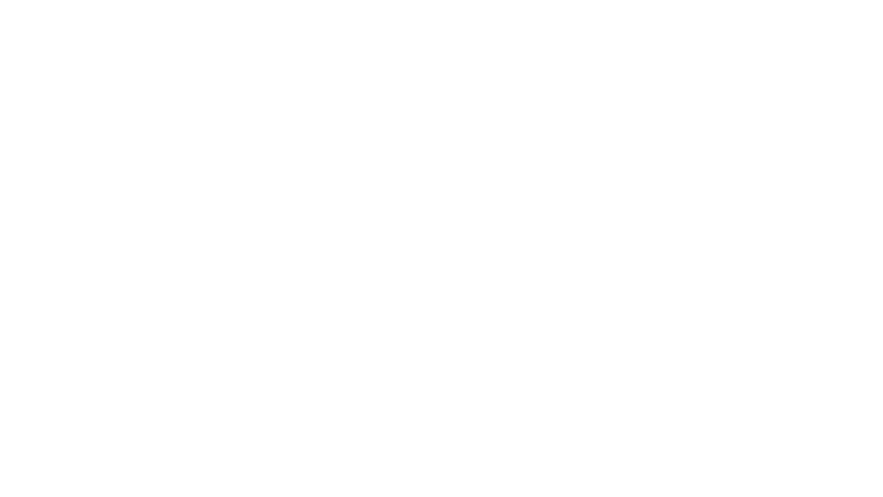 Wise S.r.l.