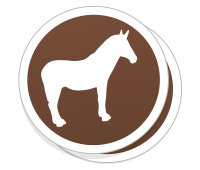 custom stickers free shipping