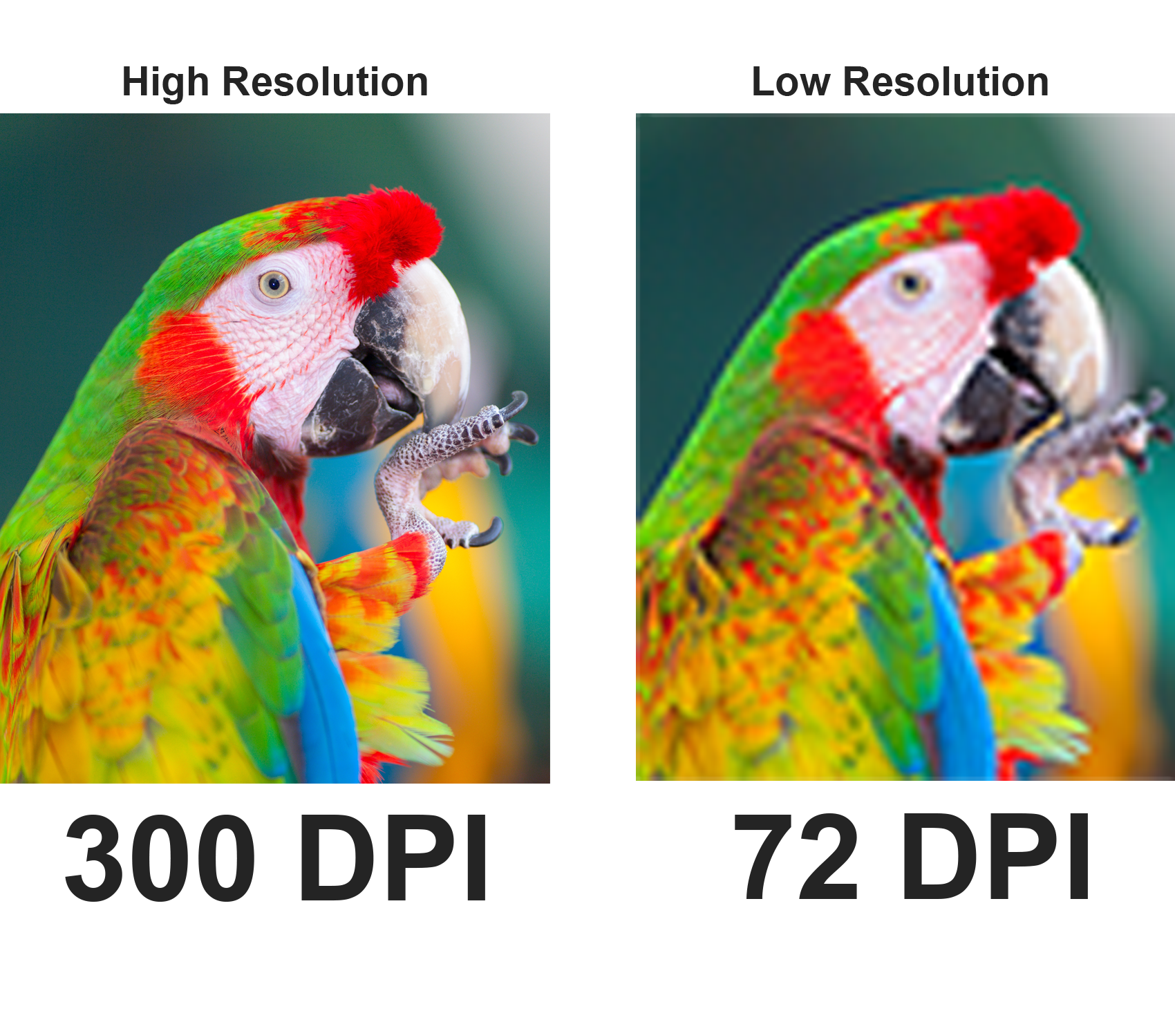 High Resolution vs. Low Resolution