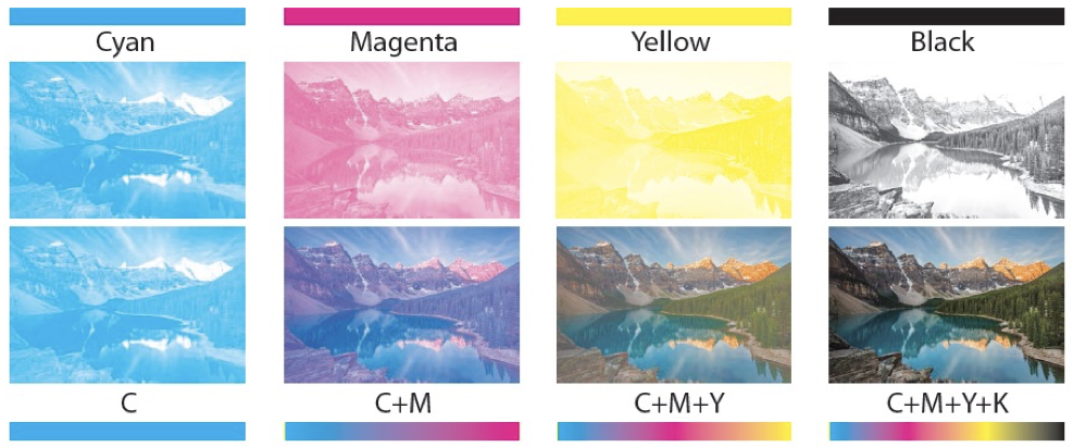 Full color vs. Black vs. No Printing