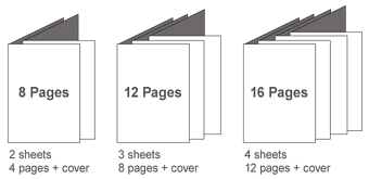 Number of Pages