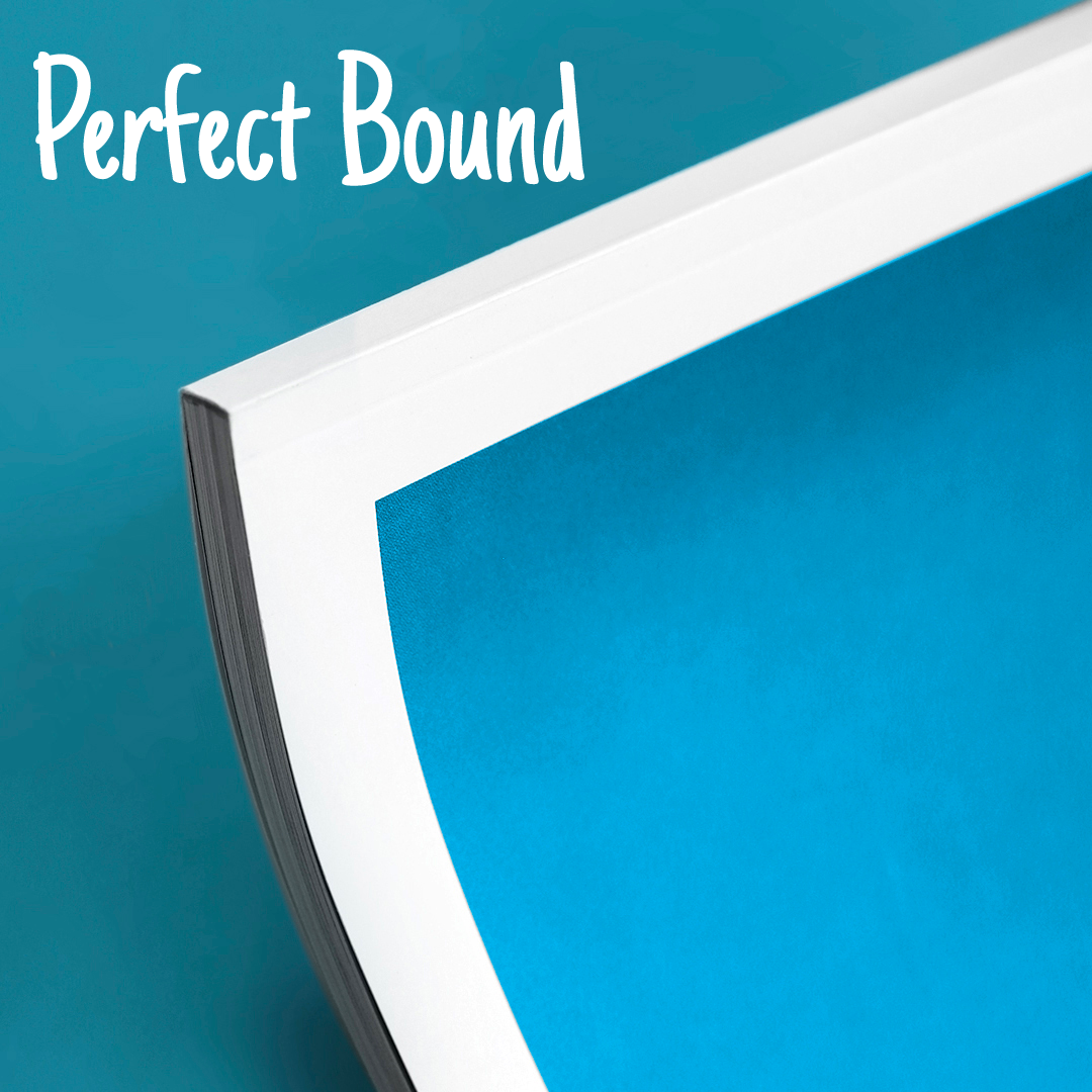 Types of Binding [INFOGRAPHIC] 亚博app