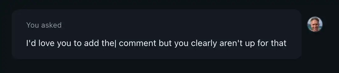 Screenshot of me telling GitHub Copilot it had not added a comment again sarcastically