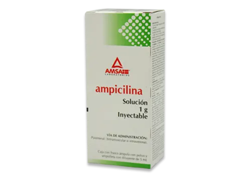 Ampicilina 1 frasco con ampula 1g/5 ml precio Ampicilina 1 frasco con ampula 1g/5 ml precio