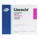 Lincocin Lincomicina 300 Mg Pediátrico Con 6 Jeringas Prellenadas