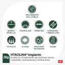 Vitacilina 0.350 G/100 000Ui Ungüento Con 28 Gr