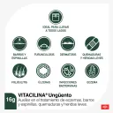 Vitacilina 0.350 G/100 000Ui Ungüento Con 16 Gr