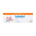 Saludol Gel Tópico Analgésico Muscular 100 G De Gel