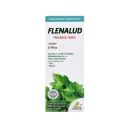Flenalud Jarabe Con 120 Ml