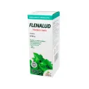 Flenalud Jarabe Con 120 Ml