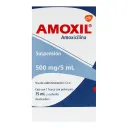 Amoxil Amoxicilina 500 Mg Suspensión Pediátrica Con 75 Ml