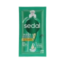 Sedal Rizos Definidos Crema Para Peinar Con 24 Sobres De 10 Ml