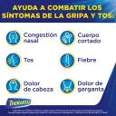 Theraflu Daytime 650/20/10 Mg Con 10 Sobres Sabor Frutos Del Bosque