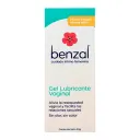 Benzal Gel Lubricante Vaginal Sin Olor Con 30 G