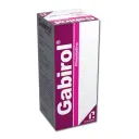 Gabirol 1 G Con 120 Ml De Solución