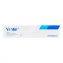 Vantal 5 G Gel Con 60 Gr