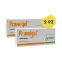 Pack De 2 Pramigel Con 20 Comprimidos