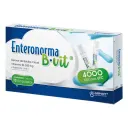 Enteronorma B.Vit Esporas De Bacilus Clausii + Vitamina B6 Con 10 Ampolletas
