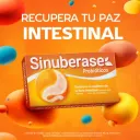 Sinuberase Probióticos en Suspensión 10 Ampolletas
