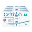 Ceftrex Im Ceftriaxona 1 G Solución Inyectable Pack Con 3 Viales