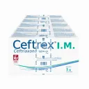 Ceftrex Im Ceftriaxona 1 G Solución Inyectable Pack 5 Viales